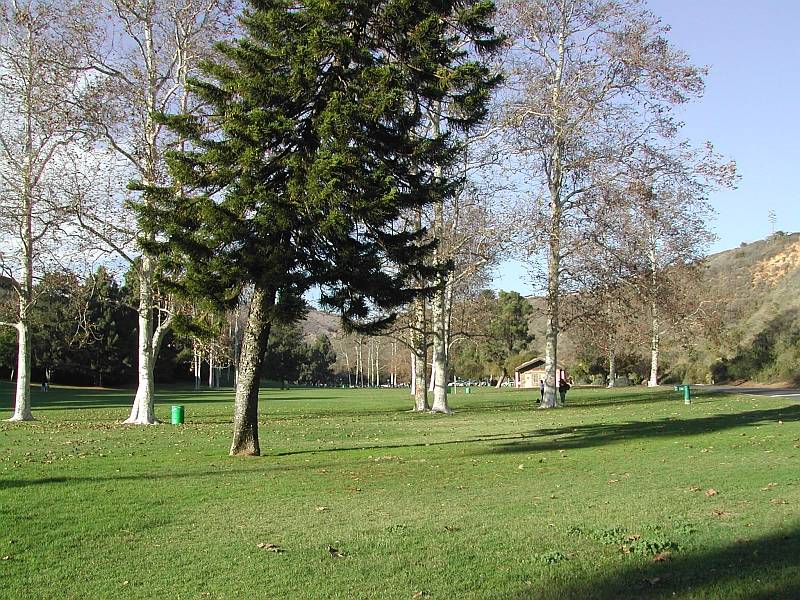Arroyo Verde Park